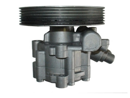 SPIDAN 54181 Hydraulic Pump, steering