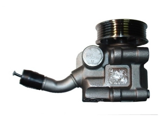 SPIDAN 54253 Hydraulic Pump, steering