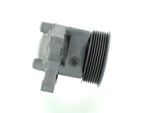 SPIDAN 54888 Hydraulic Pump, steering
