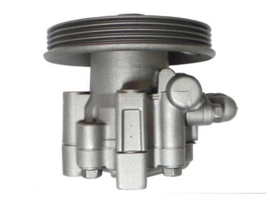 SPIDAN 54598 Hydraulic Pump, steering