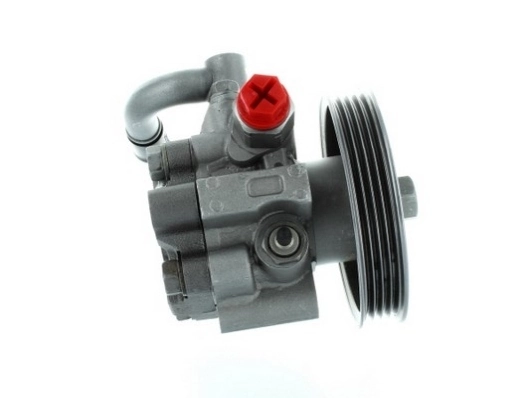 SPIDAN 54578 Hydraulic Pump, steering