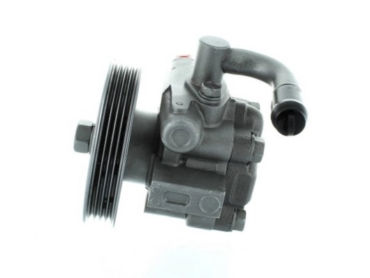 SPIDAN 54578 Hydraulic Pump, steering