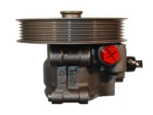 SPIDAN 54215 Hydraulic Pump, steering