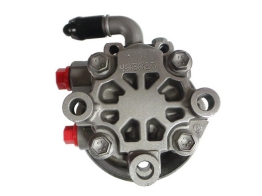 SPIDAN 54166 Hydraulic Pump, steering