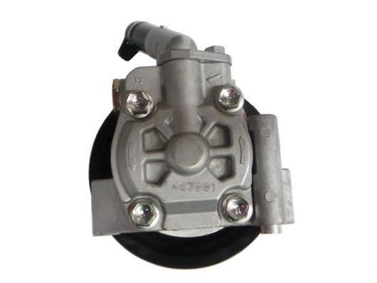SPIDAN 52599 Hydraulic Pump, steering