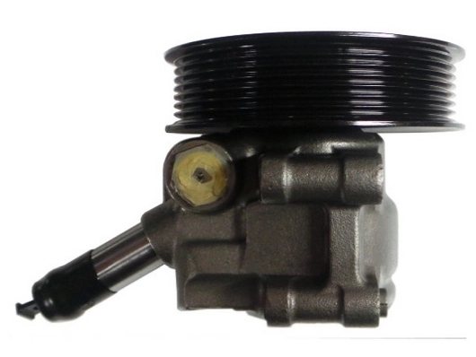 SPIDAN 52664 Hydraulic Pump, steering