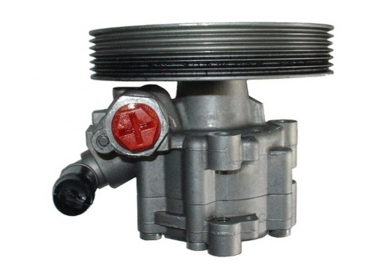 SPIDAN 54181 Hydraulic Pump, steering