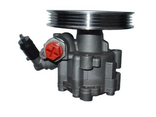 SPIDAN 54439 Hydraulic Pump, steering