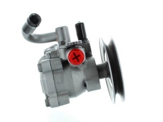SPIDAN 54498 Hydraulic Pump, steering