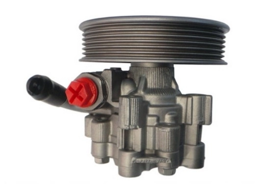 SPIDAN 54964 Hydraulic Pump, steering