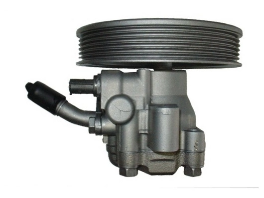 SPIDAN 54436 Hydraulic Pump, steering