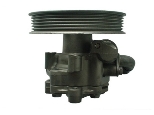SPIDAN 54183 Hydraulic Pump, steering