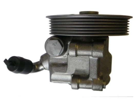 SPIDAN 54384 Hydraulic Pump, steering