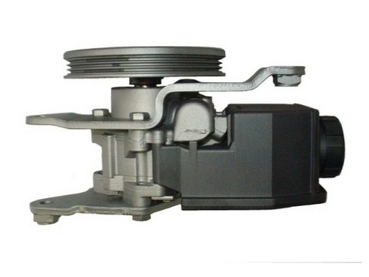 SPIDAN 53544 Hydraulic Pump, steering