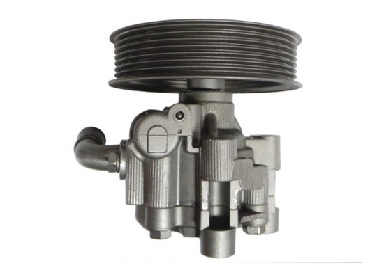 SPIDAN 54166 Hydraulic Pump, steering