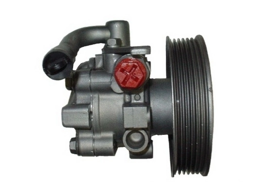 SPIDAN 54429 Hydraulic Pump, steering