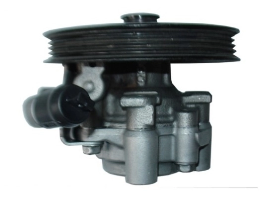 SPIDAN 54365 Hydraulic Pump, steering