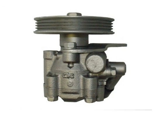 SPIDAN 53609 Hydraulic Pump, steering