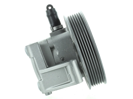 SPIDAN 52854 Hydraulic Pump, steering
