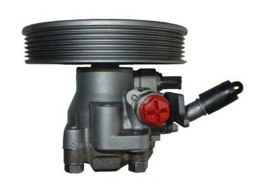 SPIDAN 54436 Hydraulic Pump, steering