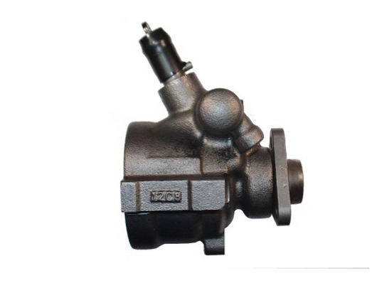 SPIDAN 53697 Hydraulic Pump, steering