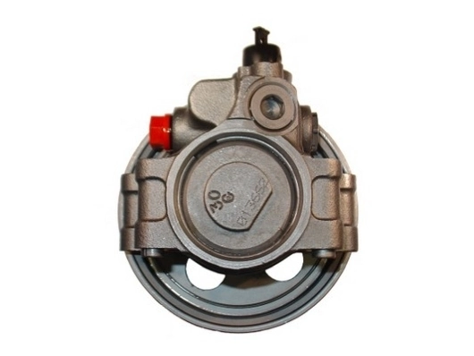 SPIDAN 54215 Hydraulic Pump, steering
