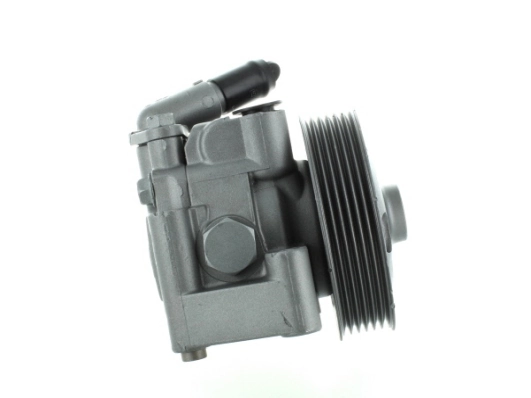 SPIDAN 52597 Hydraulic Pump, steering
