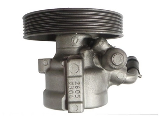 SPIDAN 52605 Hydraulic Pump, steering