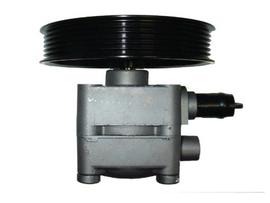 SPIDAN 54071 Hydraulic Pump, steering