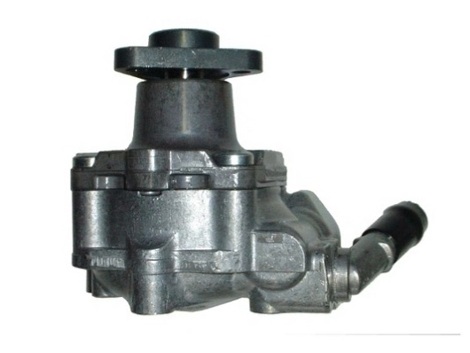 SPIDAN 54438 Hydraulic Pump, steering