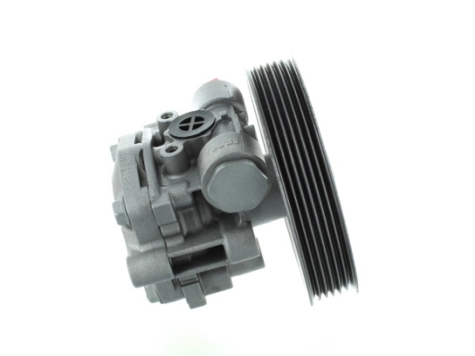 SPIDAN 54793 Hydraulic Pump, steering