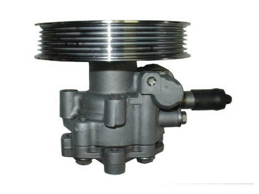SPIDAN 54409 Hydraulic Pump, steering