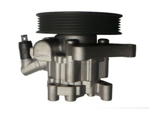 SPIDAN 52614 Hydraulic Pump, steering
