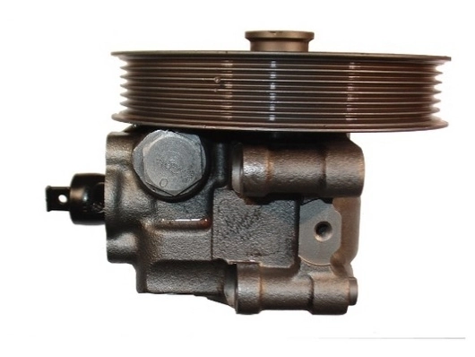 SPIDAN 54215 Hydraulic Pump, steering