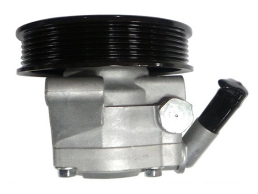SPIDAN 52599 Hydraulic Pump, steering