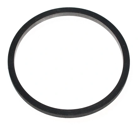 Seal Ring 366.310