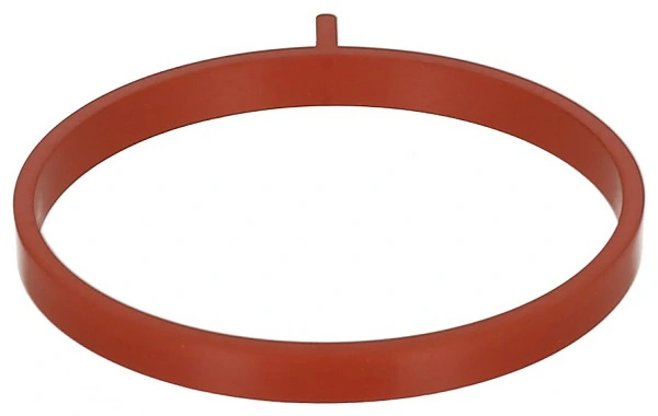 Gasket, intake manifold 697.600