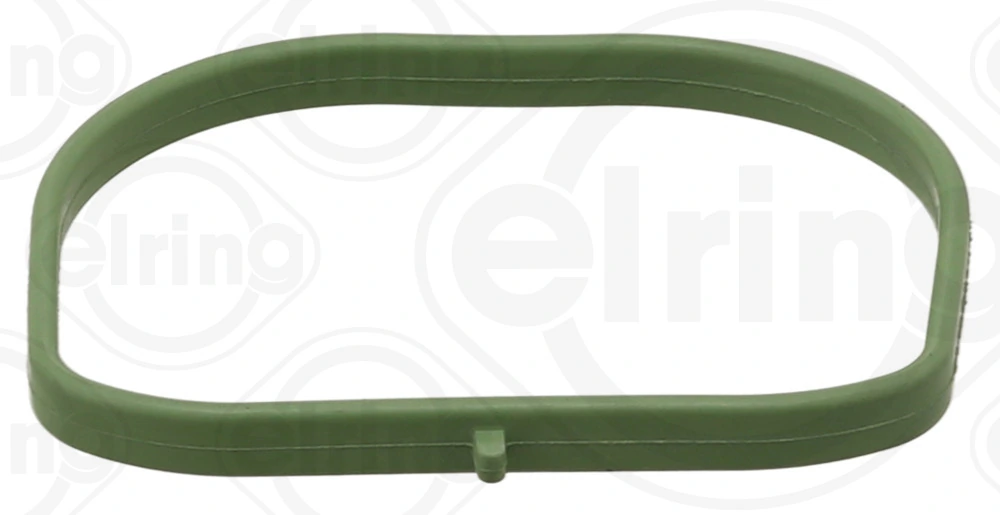 Gasket, intake manifold 874.301