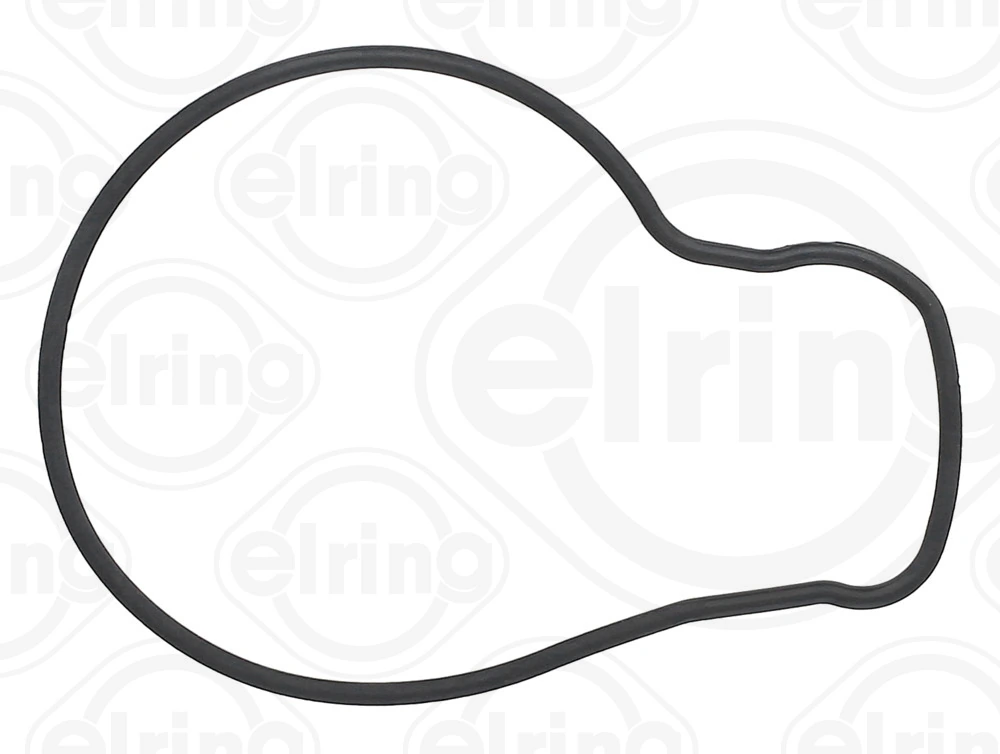 Gasket, water pump 468.660