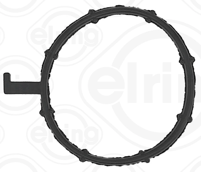 Gasket, coolant flange 184.900