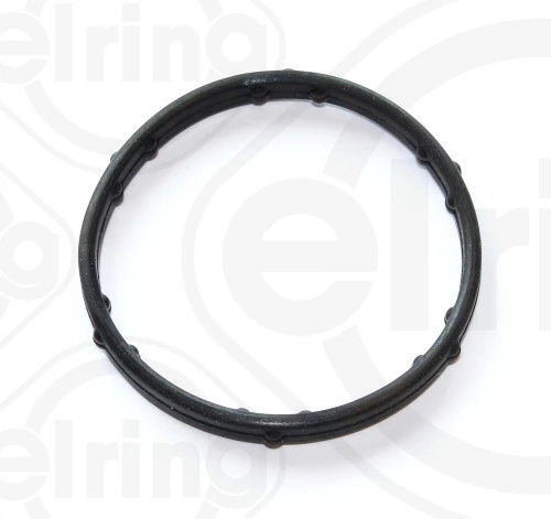Seal Ring, coolant pipe 248.250