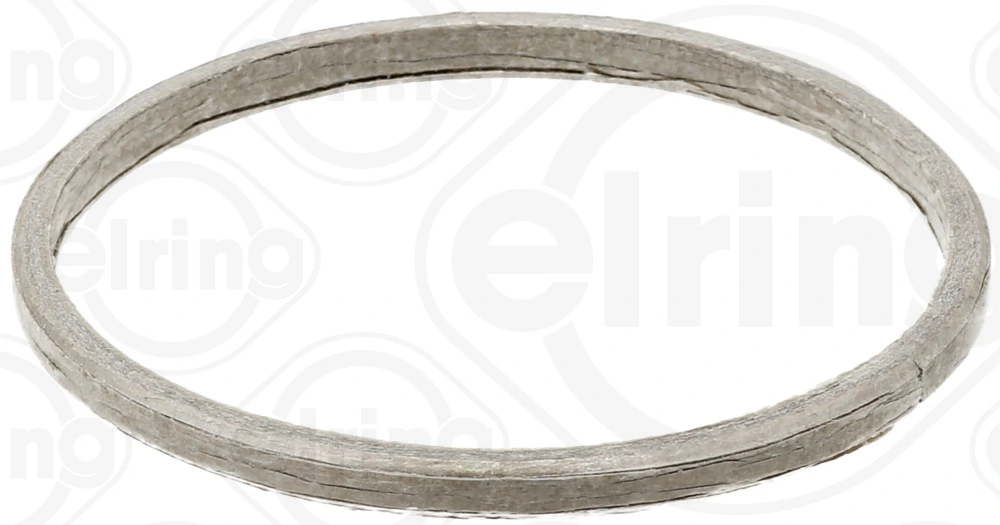 Gasket, exhaust pipe 738.820