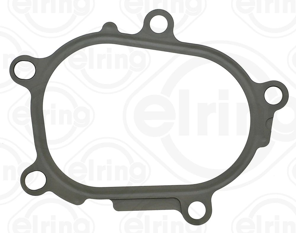 Gasket, exhaust pipe 798.510