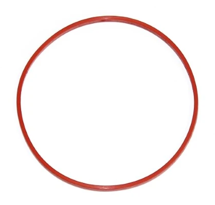 Junta, carcasa de colector de admisión 243.500