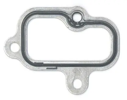 Gasket, intake manifold 100.040