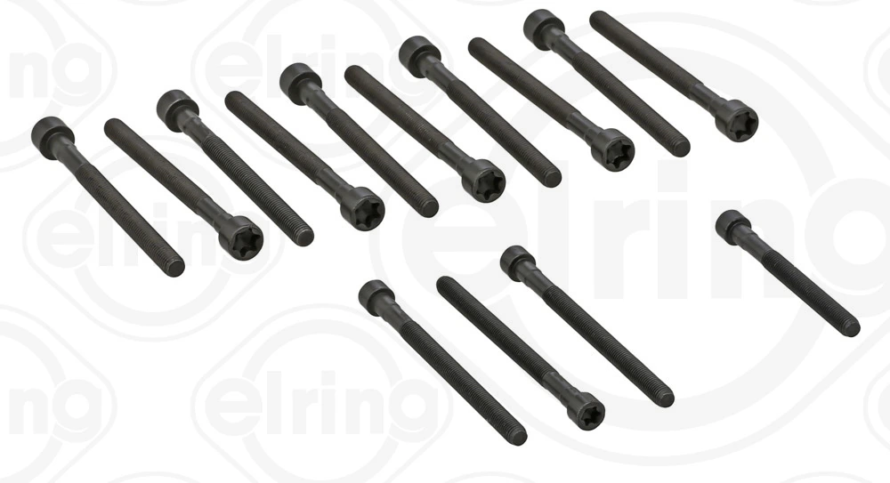 Cylinder Head Bolt Set 270.190