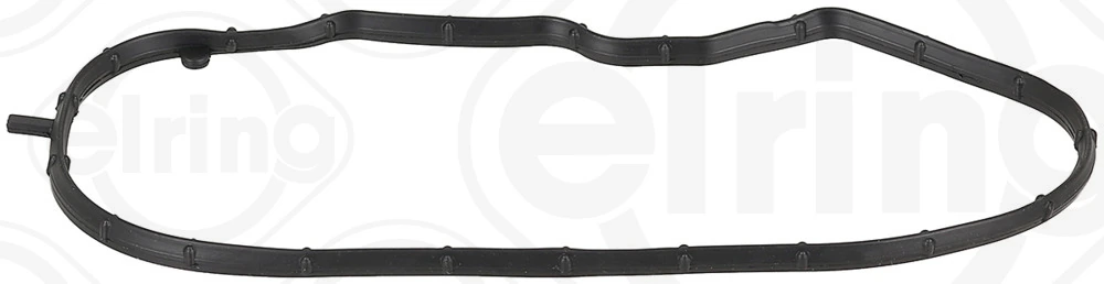 Gasket, timing case cover 577.650