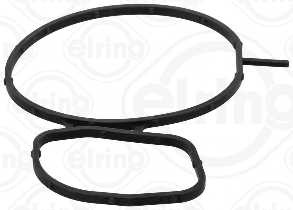 Gasket, water pump 429.510