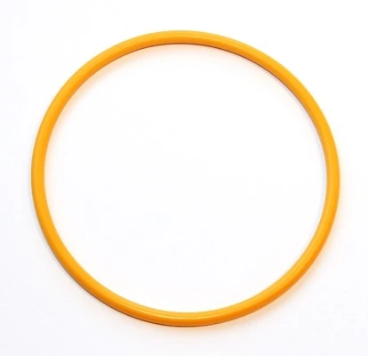 Seal Ring 919.241