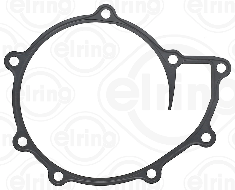 Gasket, water pump 008.971